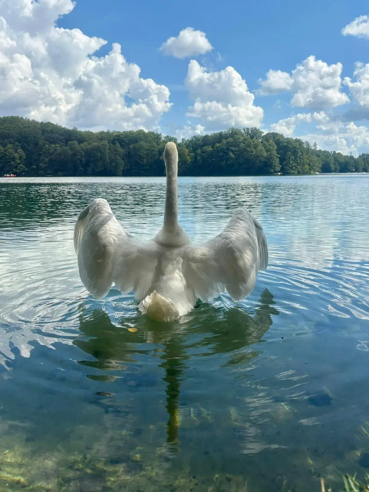 Nature by Barbara Biskup