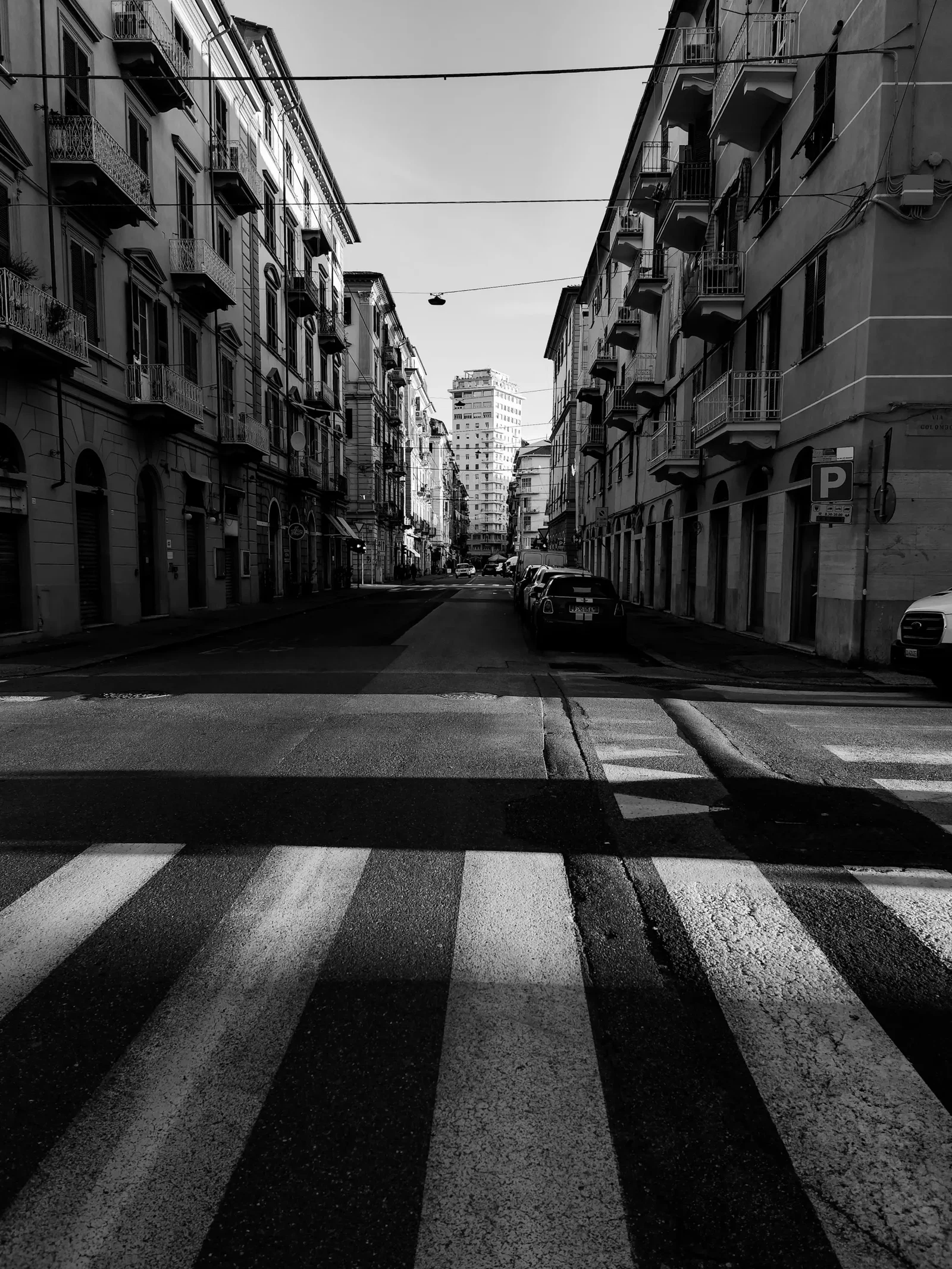 Photograph by Alessio Novarelli
