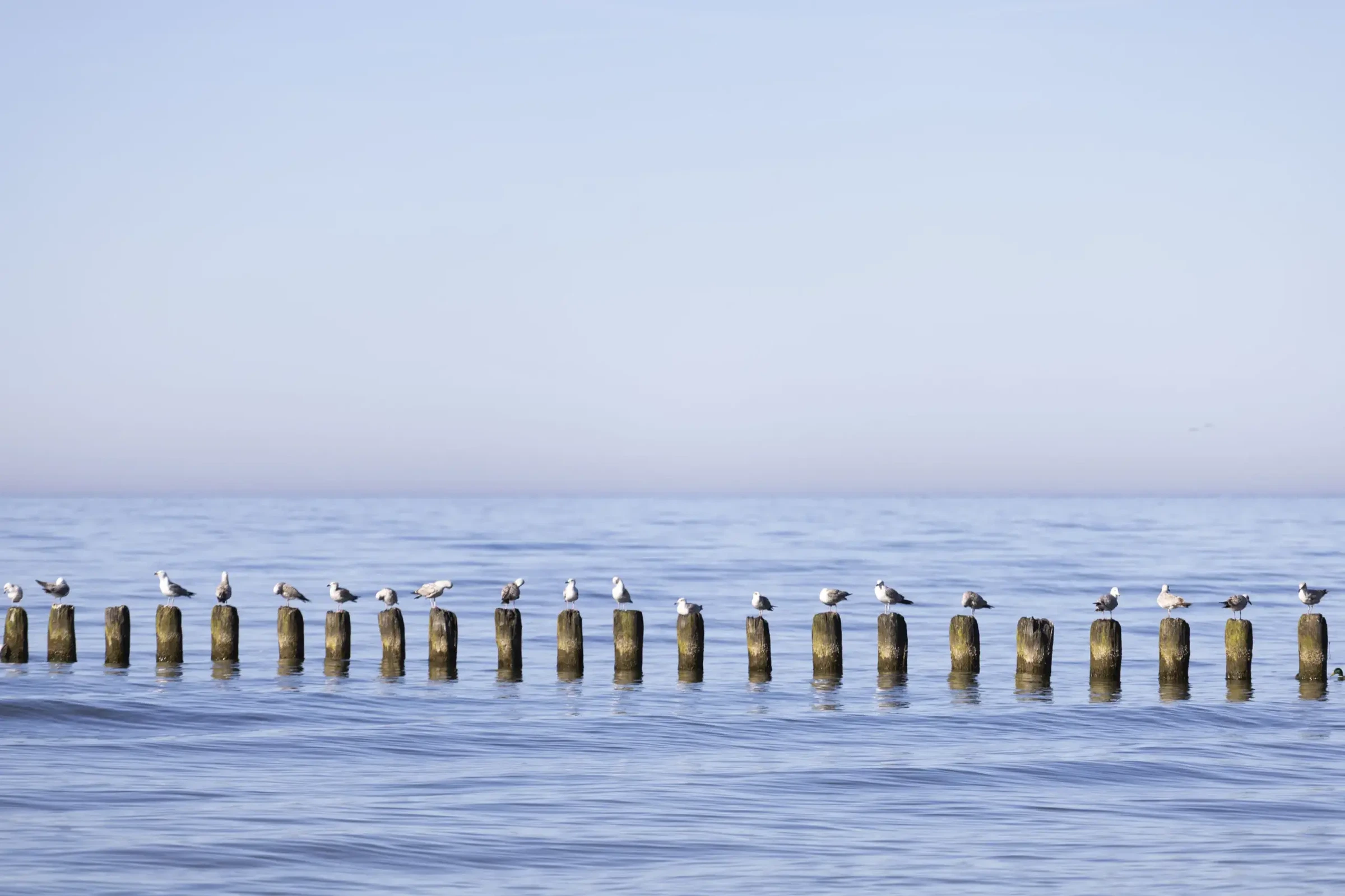 Photograph by Alex Mamet