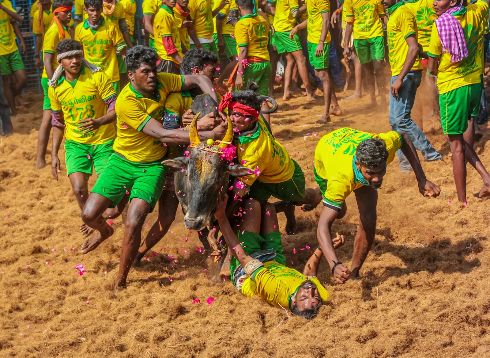 Photograph by Sundaram Perumal