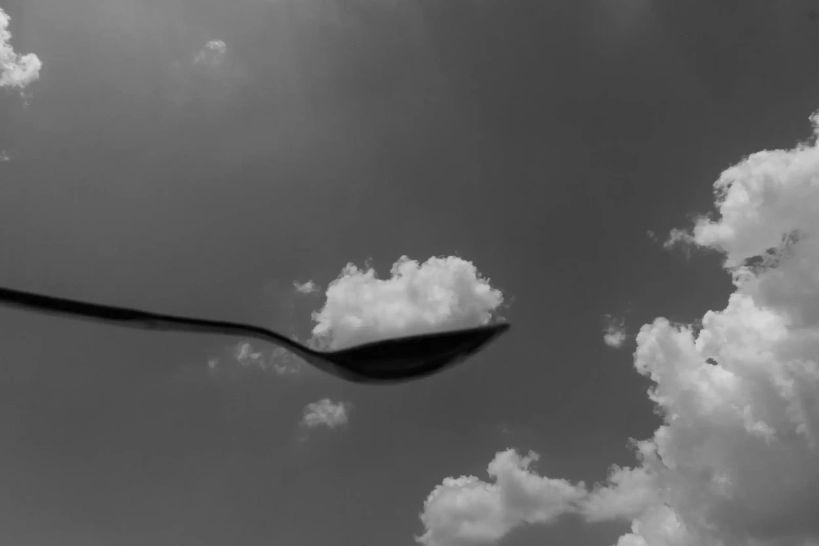 Photograph by Sundaram Perumal