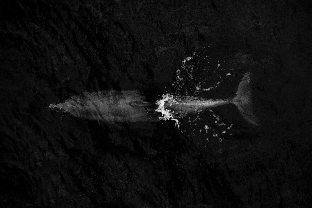 Ramiro Larguia | The Independent Photographer