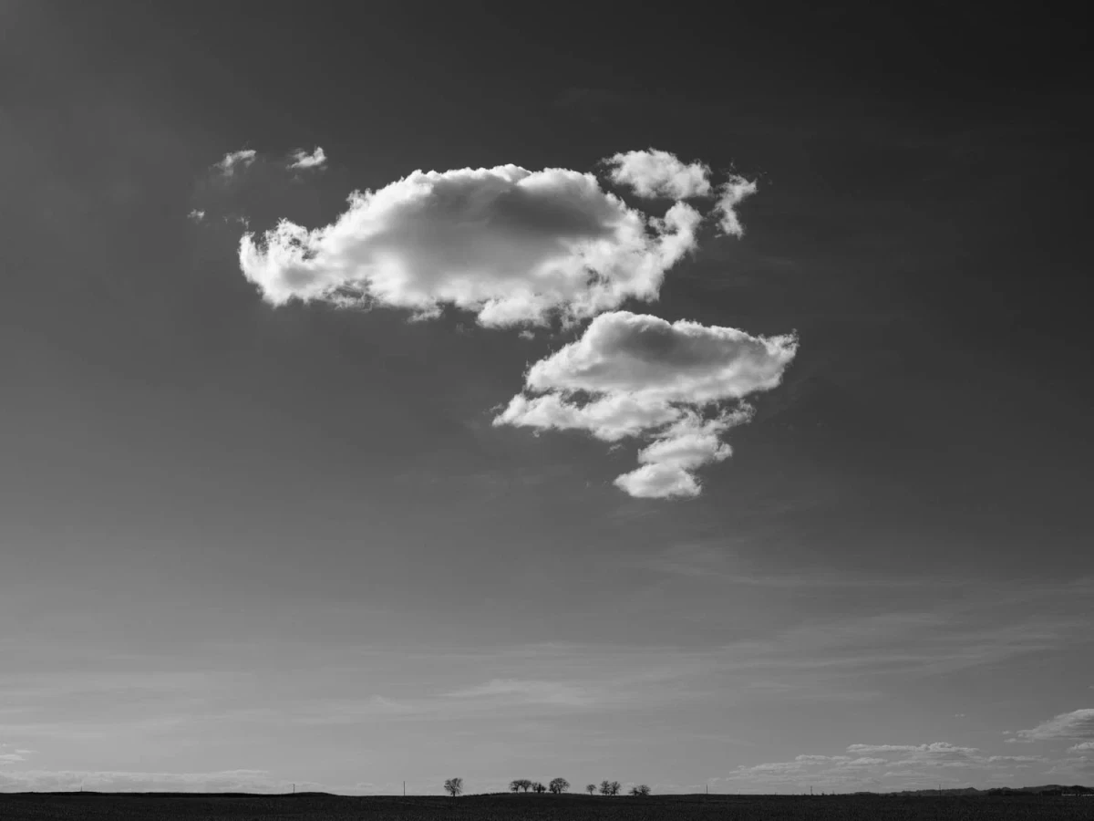 ADAM BROPHY | The Independent Photographer