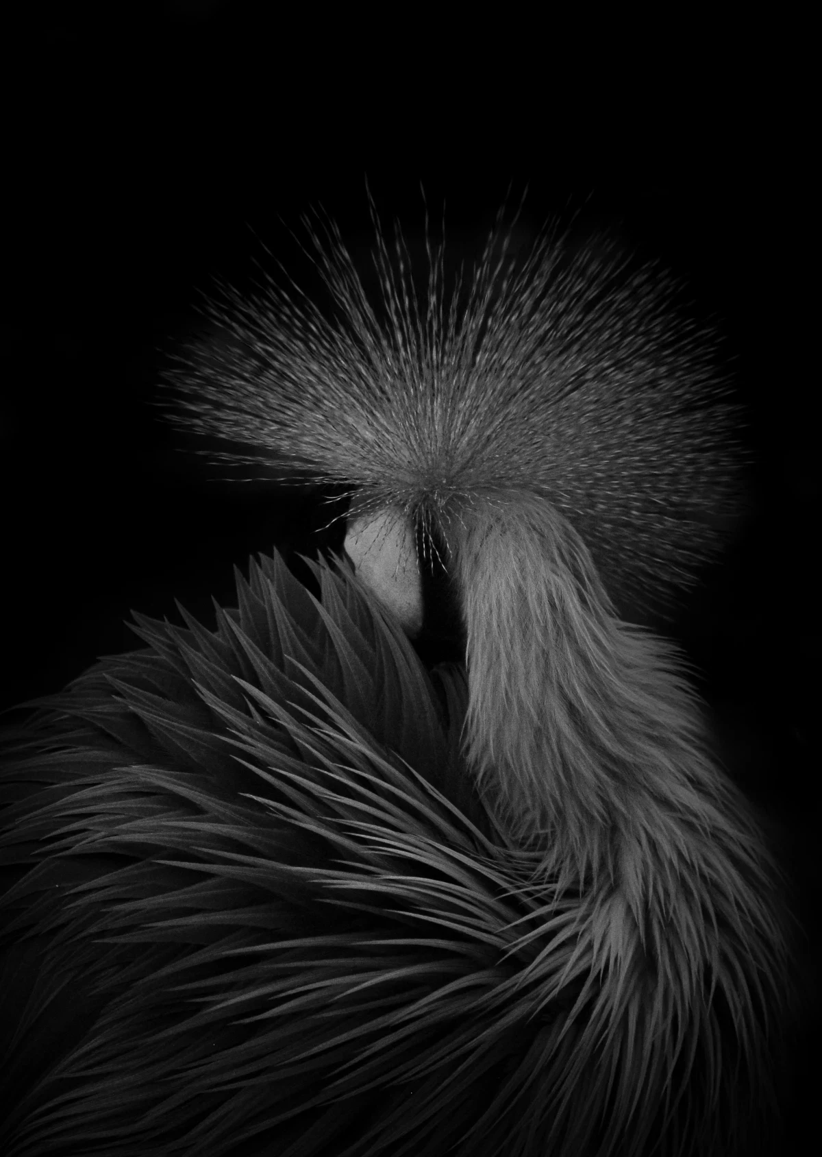 Ralph Yeung | The Independent Photographer