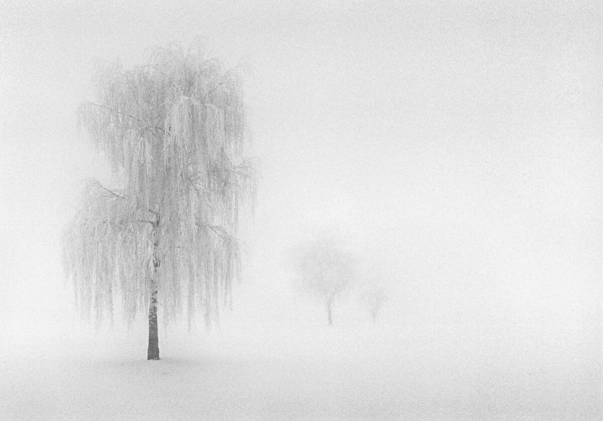 dirk-kultus-the-independent-photographer