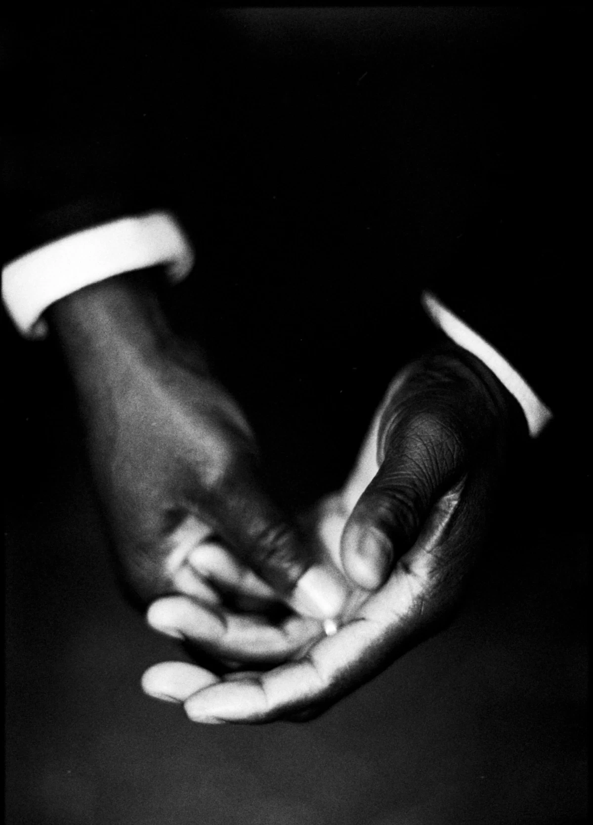 Wolves Mathaius Mathias Wolf | The Independent Photographer