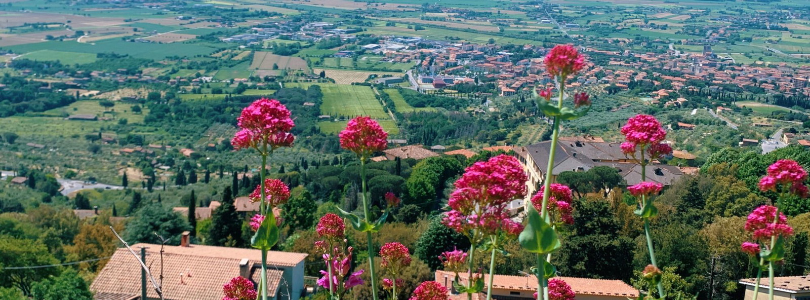 hannah-grace-laughlin